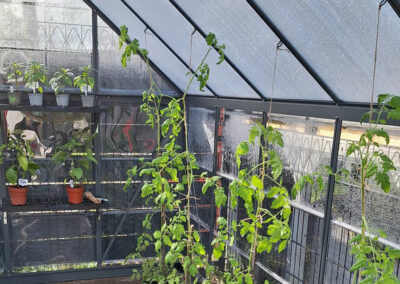 Moving to the greenhouse shelf