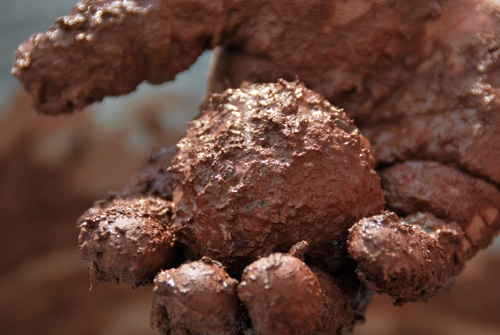 Atelier : Bombes à graines – La nature comme détonateur !